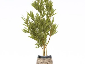 flower pot 2 3D Model