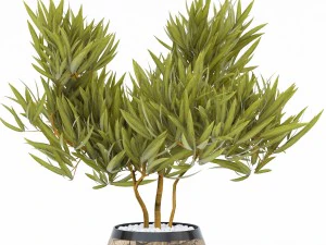 flower pot 2 3D Model