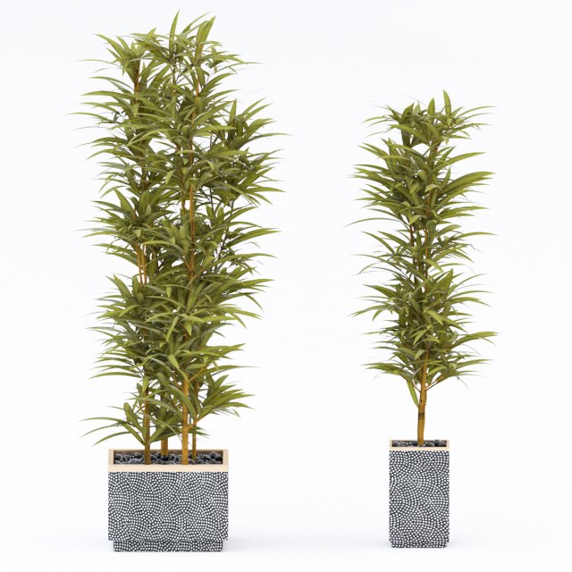 plants in pots 4 Modelo 3D .c4d .max .obj .3ds .fbx .stl .blend 