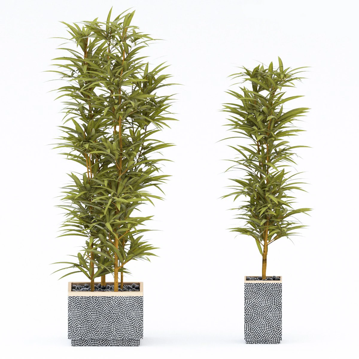 plants in pots 4 3D Model .c4d .max .obj .3ds .fbx .stl .blend 