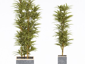 plants in pots 4 3D Model