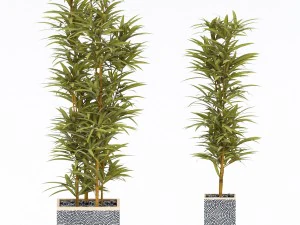 plantas em vasos 4 Modelo 3D