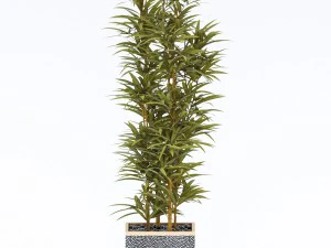 plants in pots 4 3D Model