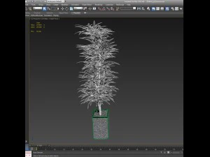 plants in pots 4 3D Model