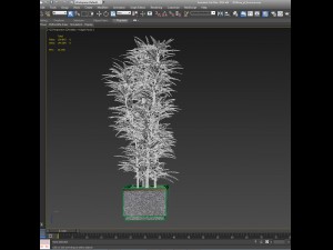 plants in pots 4 Modelo 3D