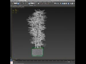 plants in pots 4 3D Model