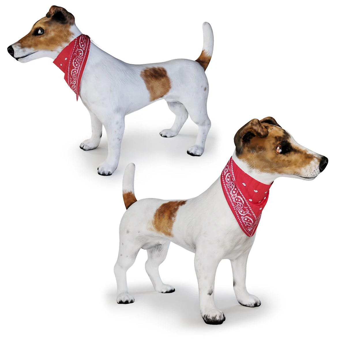 dog jack russell terrier 3D Model .c4d .max .obj .3ds .fbx .stl .blend