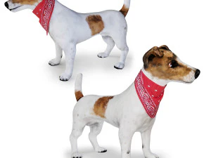 Hund Jack Russell Terrier 3D Modell