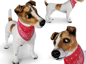 dog jack russell terrier 3D Model