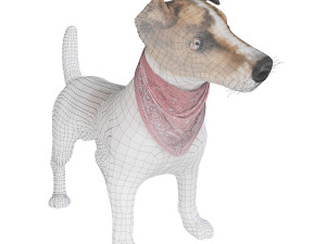 dog jack russell terrier 3D Model