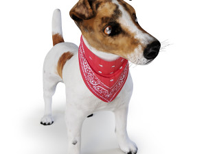 dog jack russell terrier 3D Model
