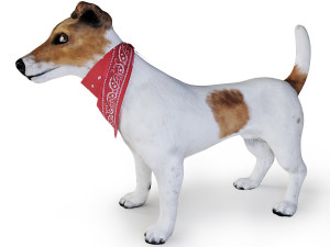 dog jack russell terrier 3D Model