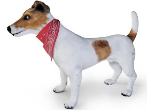 dog jack russell terrier 3D Model