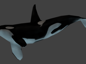 low poly orca 3D 模型
