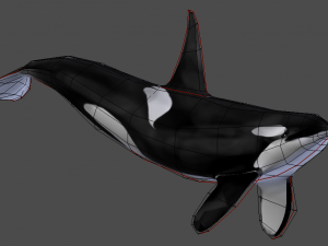 low poly orca 3D 模型