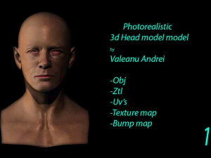 realistic head 3D Model