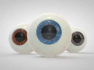 현실적인 인간의 눈 3D 모델