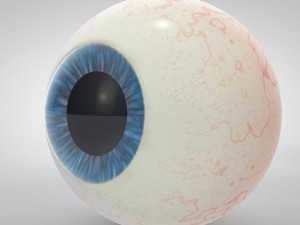 realistic human eyes Modelo 3D