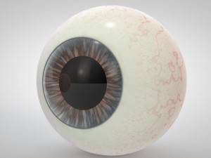 realistic human eyes Modelo 3D