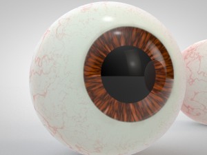 realistic human eyes Modelo 3D