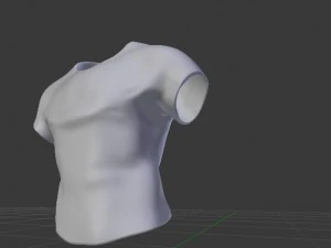 shirt changes shape when touched 3D Model
