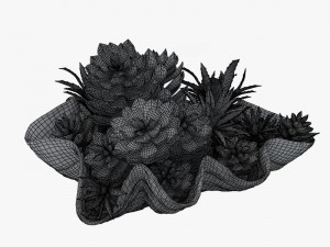 succulents in a giant clam bowl Model 3D