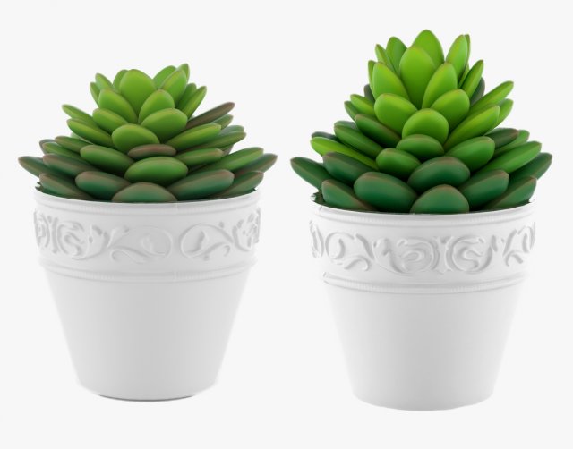 succulents 09 3Dモデル .c4d .max .obj .3ds .fbx .stl .blend 