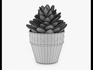 succulents 09 3Dモデル