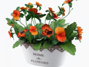 pot plant model Model 3D