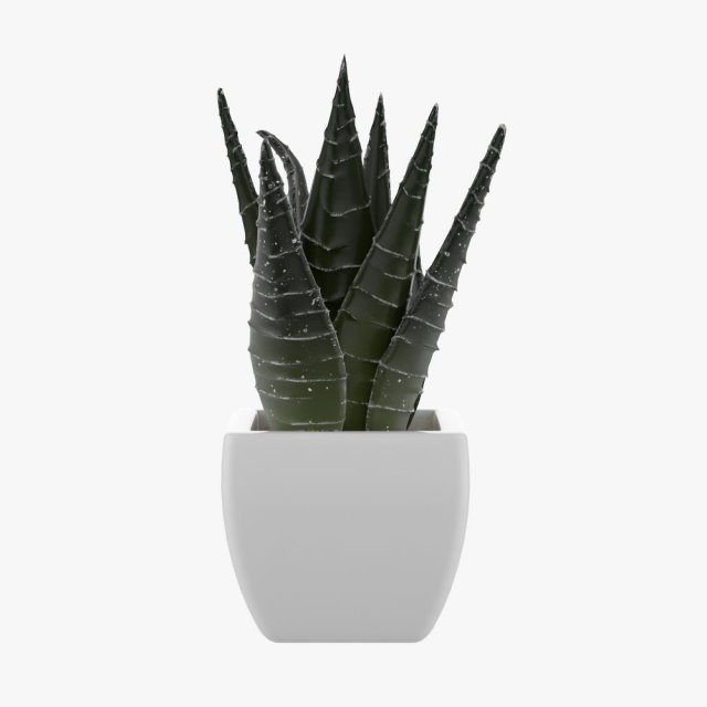 pot plant Modelo 3D .c4d .max .obj .3ds .fbx .stl .blend 