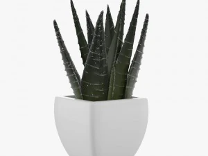 pot plant 3D Model