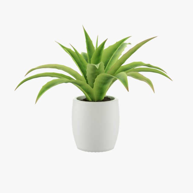 pot plant 3D Model .c4d .max .obj .3ds .fbx .stl .blend 