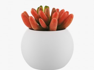 pot plant 3D Model