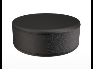 hockey puck 3D Model