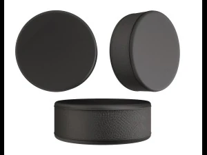 hockey puck 3D Model