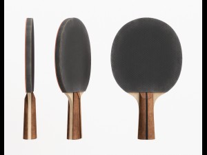 table tennis paddle Model 3D