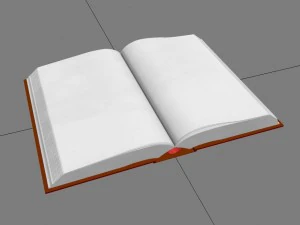 libro bianco Modello 3D