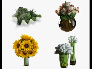 flower comp01 Modelo 3D