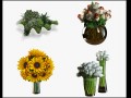 flower comp01 Model 3D