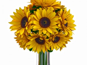 flower comp01 3D Модель