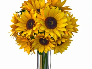 꽃 comp01 3D 모델