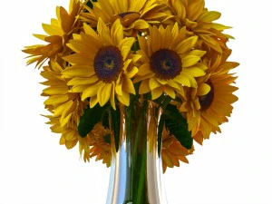 꽃 comp01 3D 모델