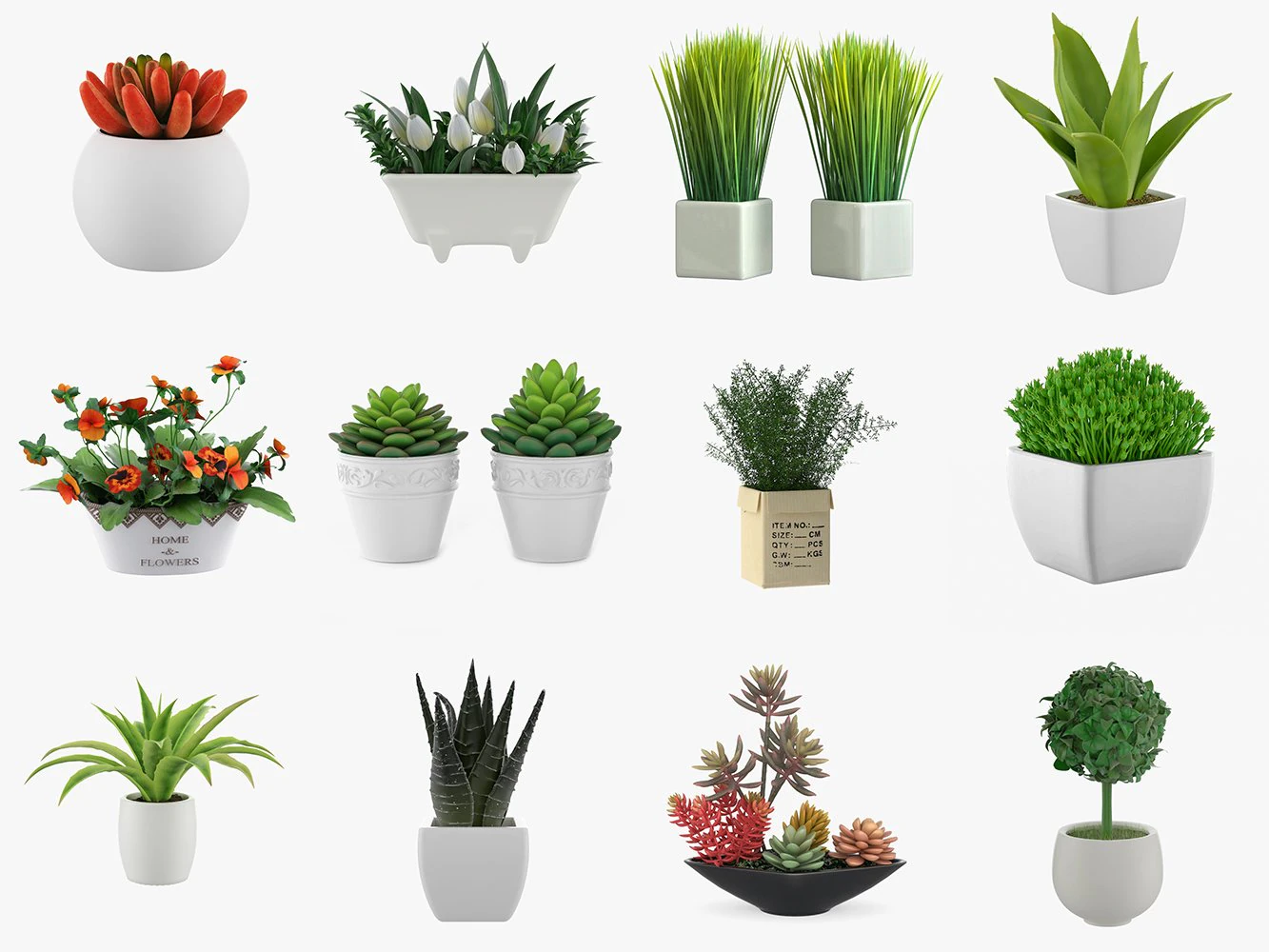 12 pot plant s 3D Model .c4d .max .obj .3ds .fbx .stl .blend