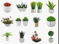 12 pot plant s 3Dモデル