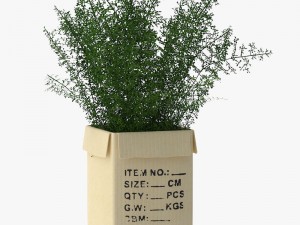 12 pot plant s 3D मॉडल