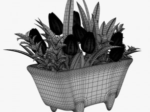 12 pot plant s 3D मॉडल