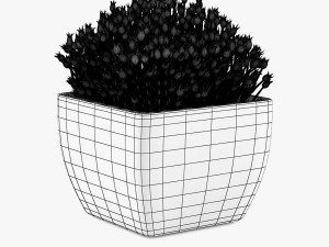 12 pot plant s 3D मॉडल