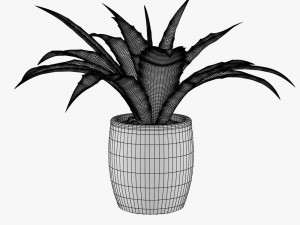 12 pot plant s 3D मॉडल
