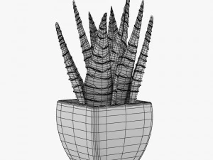 12 pot plant s 3D Model