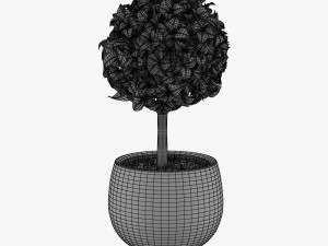 12 pot plant s 3D मॉडल